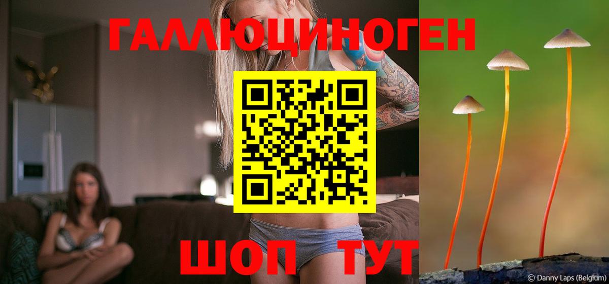 Гай  Псилоцибиновые грибы Cubensis  Псилоцибиновые грибы Psilocybine cubensis  Вход с VPN 